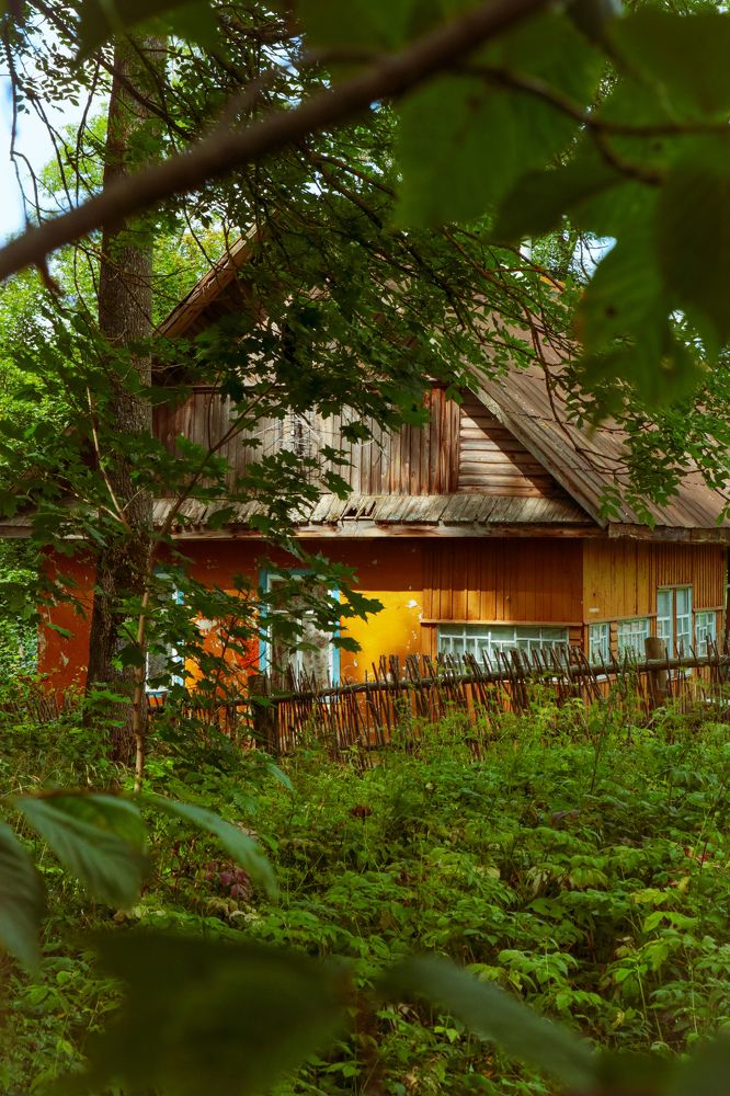 Photograph by Наталья Клячина