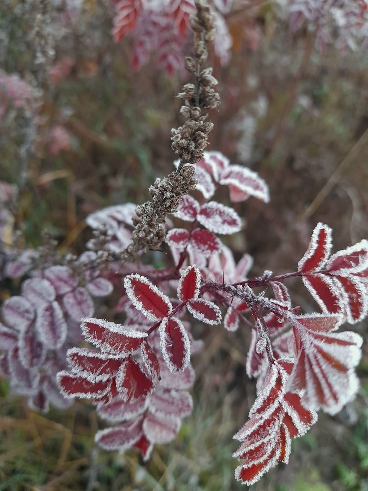 Photograph by Лидия