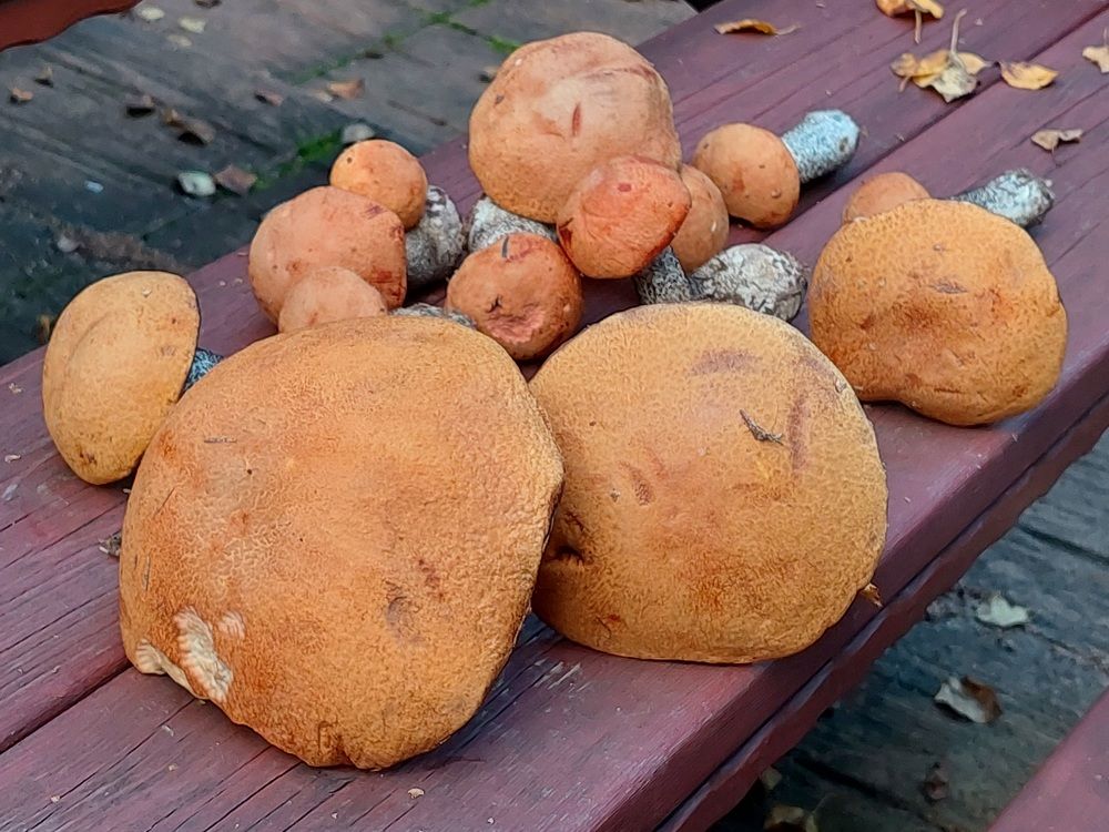 Photograph by Елена Тимченко