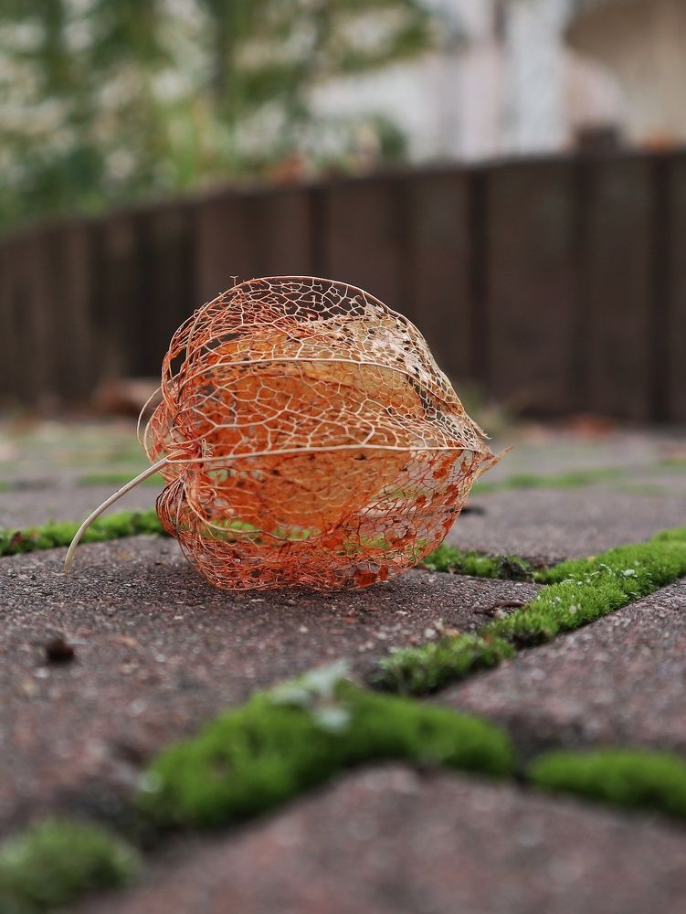 Photograph by Ирина Корабельникова