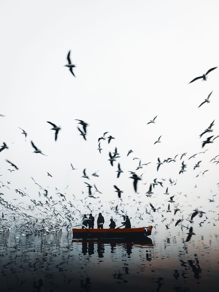 Photograph by Aslam Bin musthafa