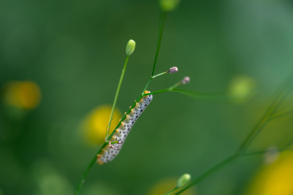 Photograph by Алик