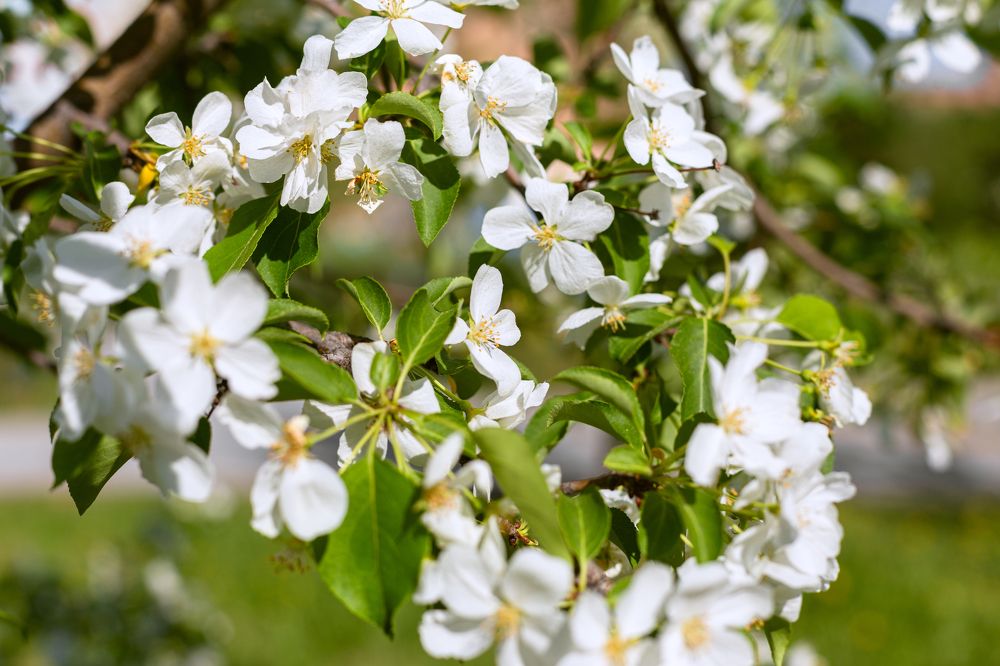 Photograph by Виталий Са