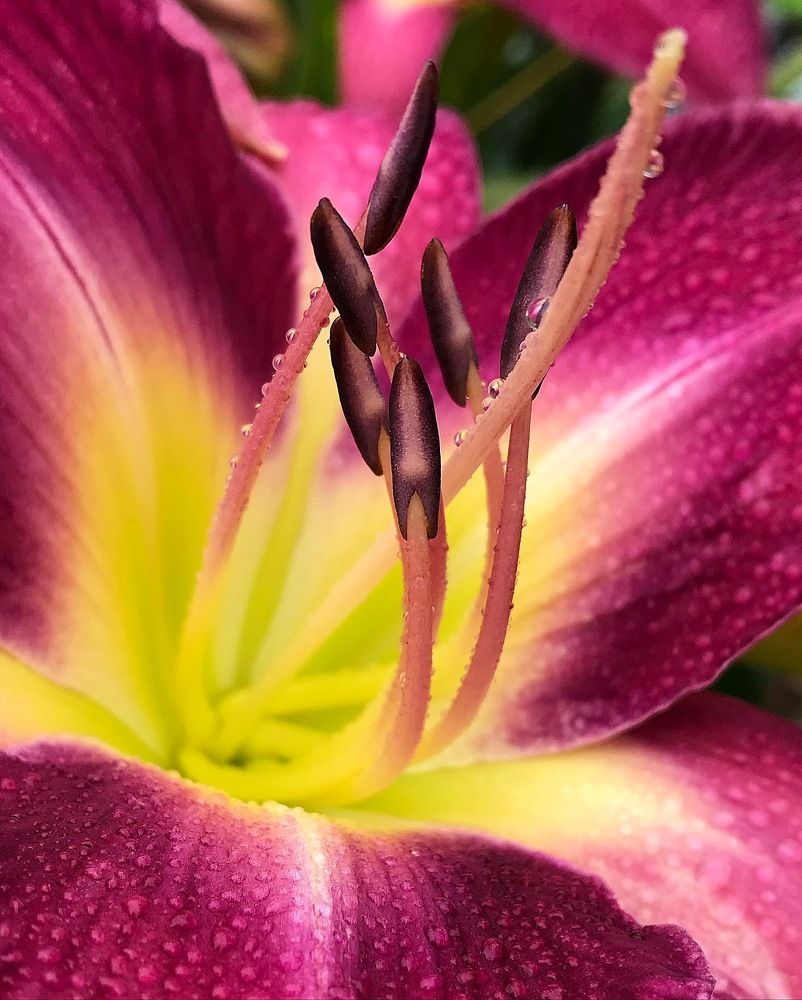 Photograph by Татьяна Волохова