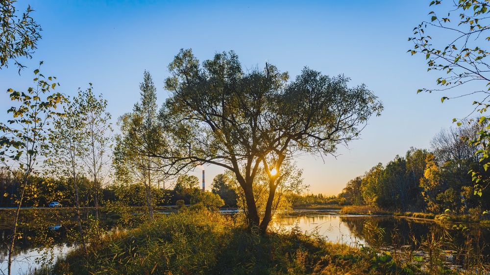 Photograph by Игорь Иванов