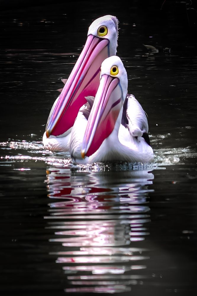 Photograph by Edi Hidayat