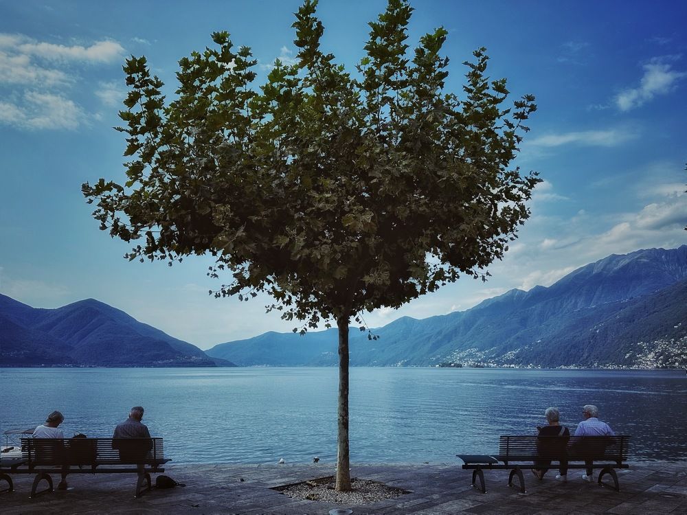 Photograph by daria eipert