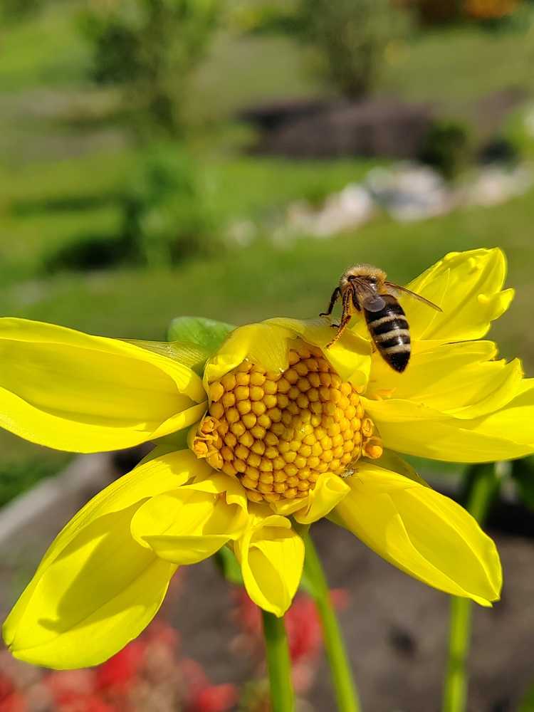 Photograph by Марина