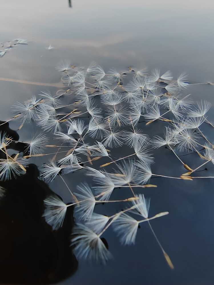 Photograph by Марина