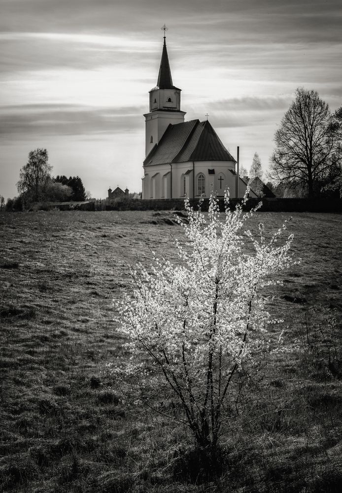 Photograph by Juris Buklovskis