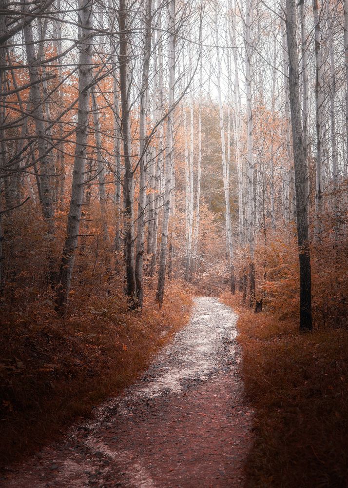 Photograph by Загруев Михаил