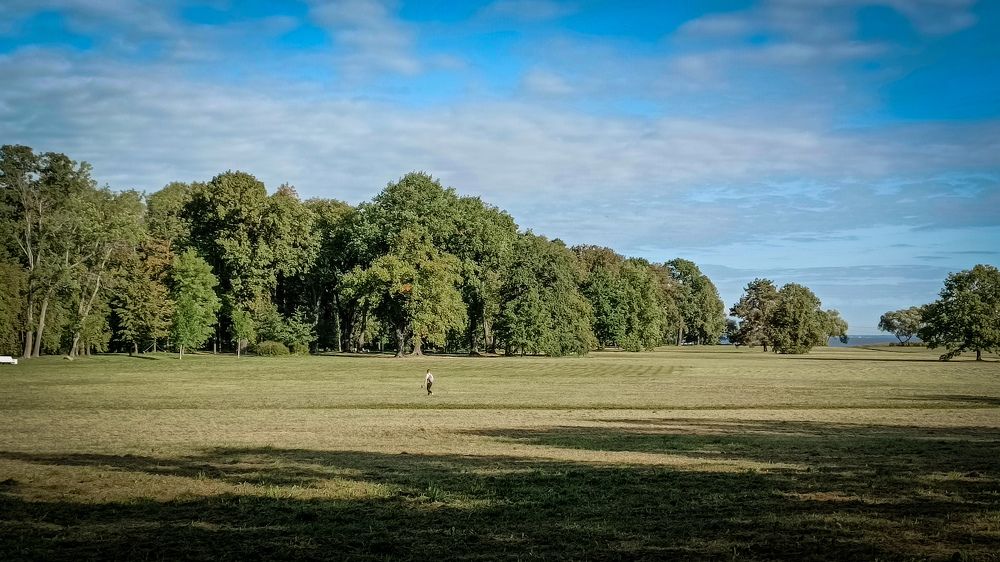 Photograph by Юлия Сайфулина