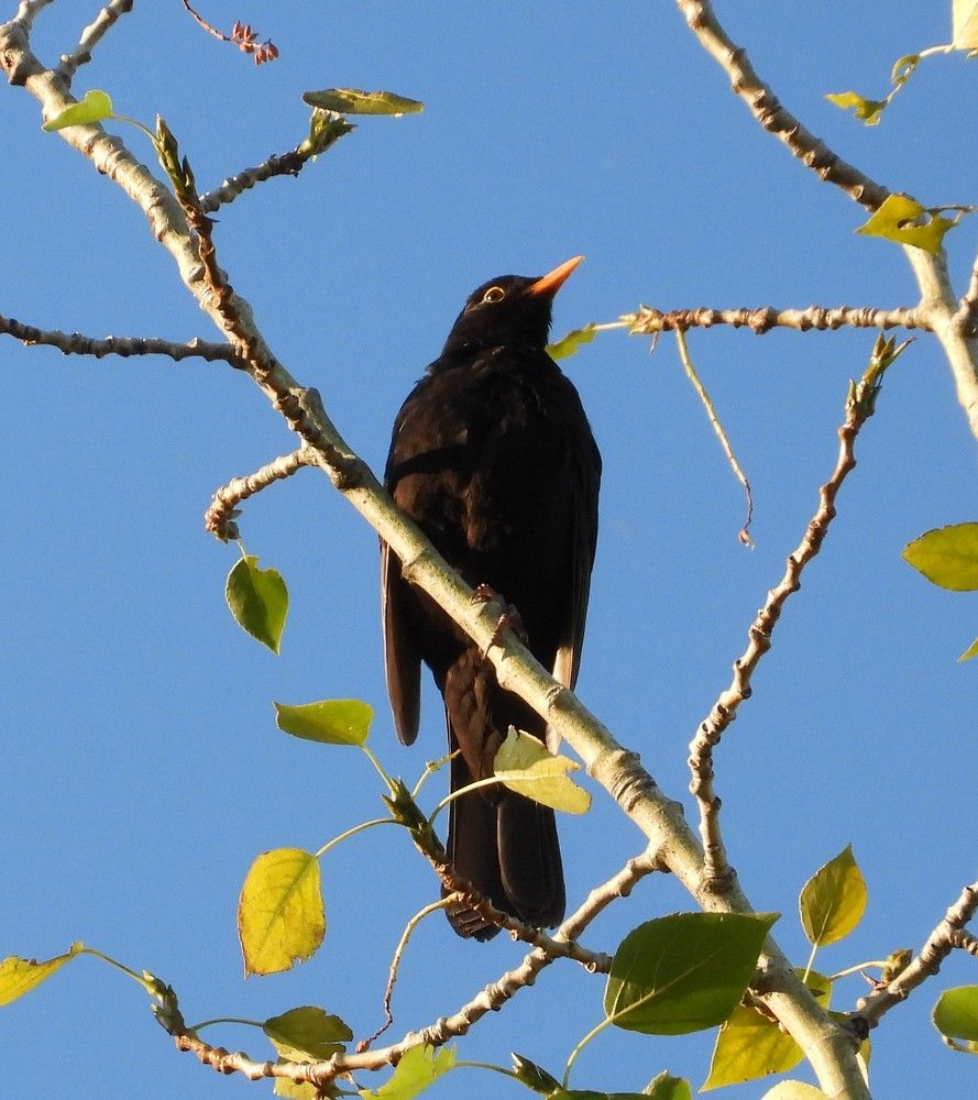 Photograph by Владимир Джерихов