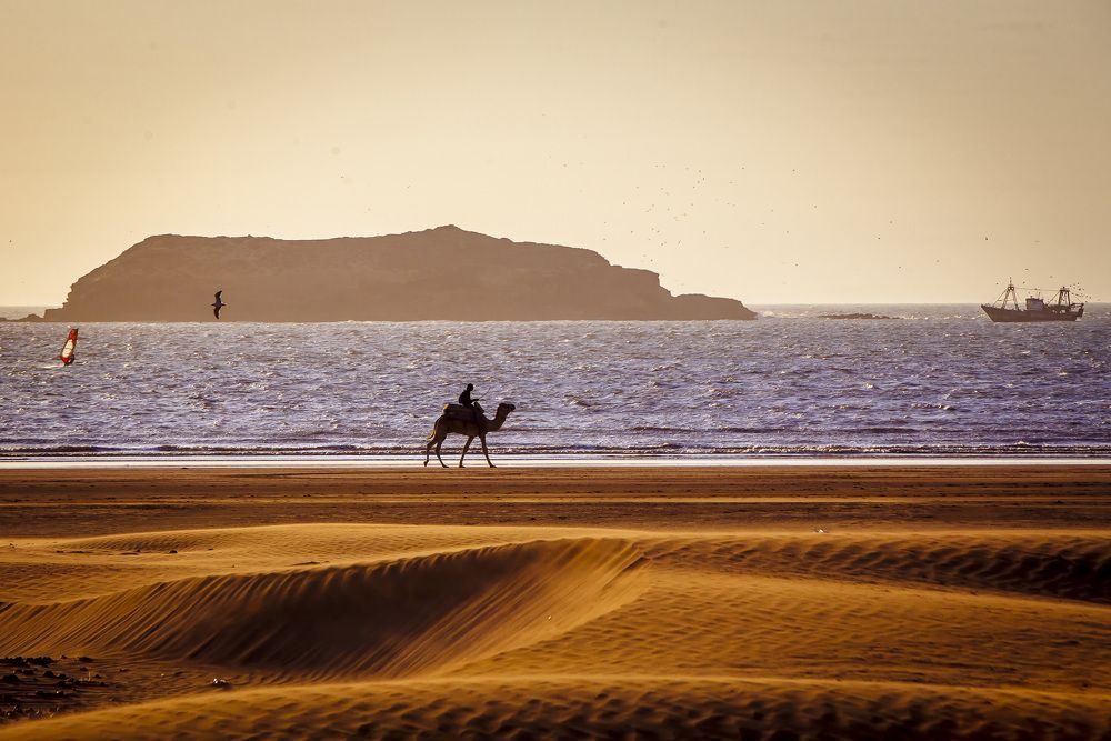 Photograph by Katja Sen