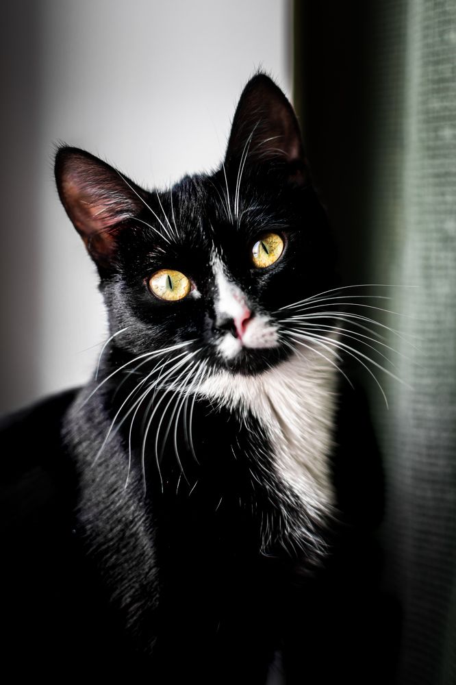 Photograph by Екатерина Абатурова