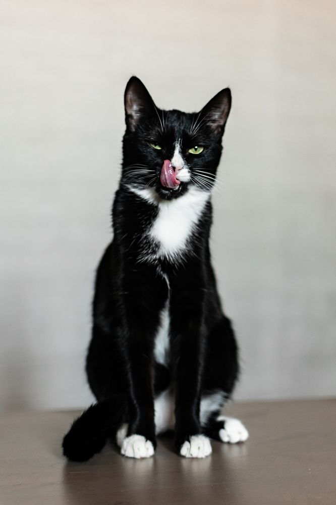 Photograph by Екатерина Абатурова