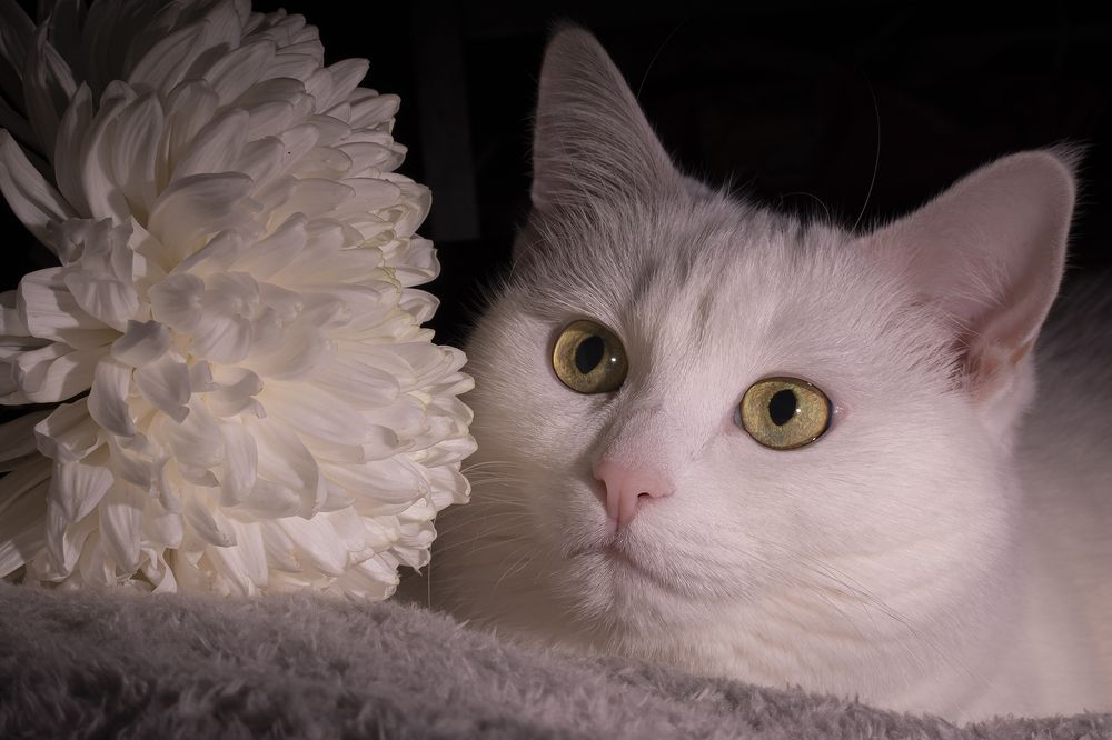 Photograph by Екатерина Бурикова