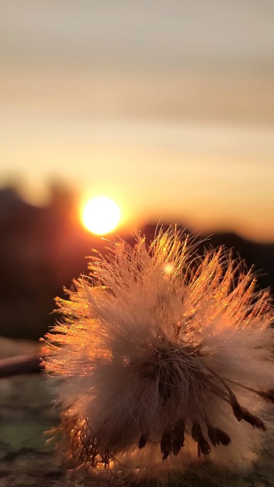 Photograph by Марина