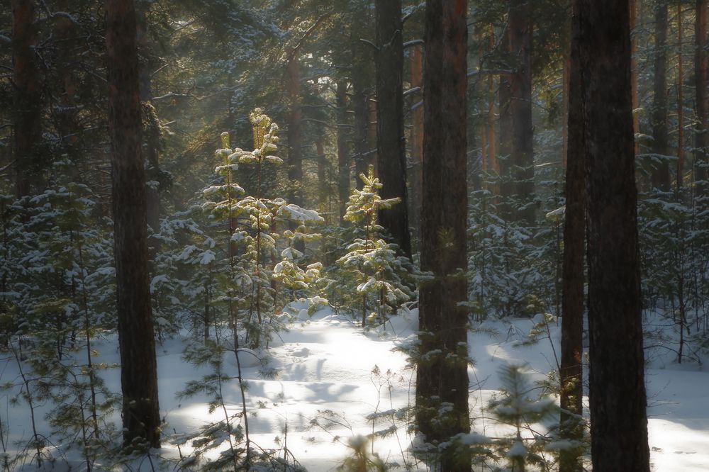 Photograph by Евгений Зинов