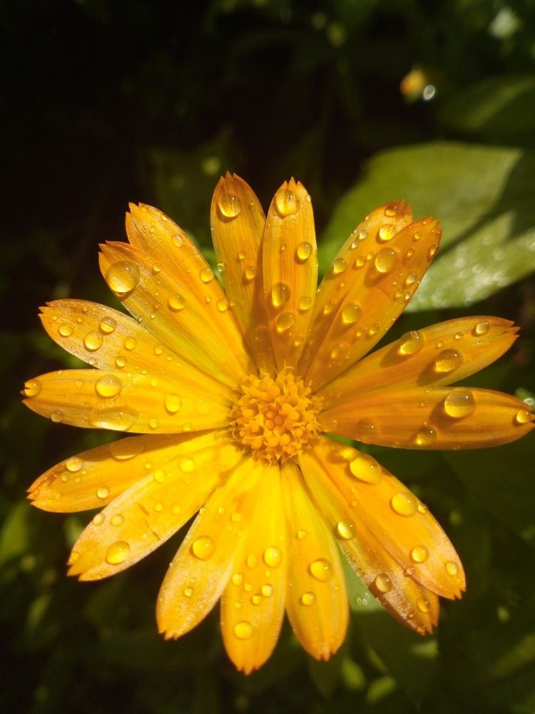 Photograph by Марина