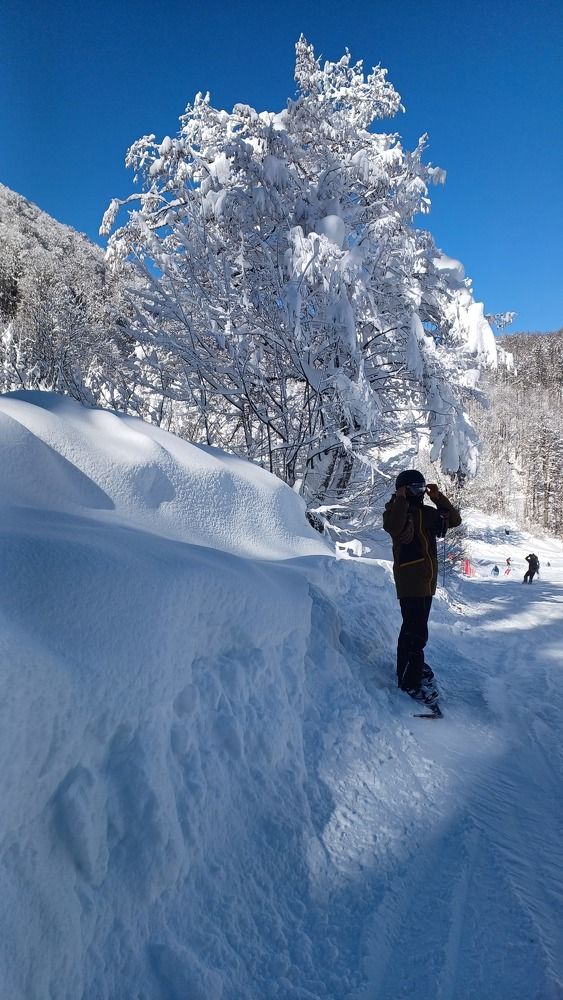 Photo #9537046