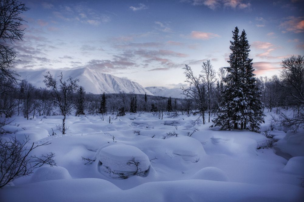 Фотография автора Olga