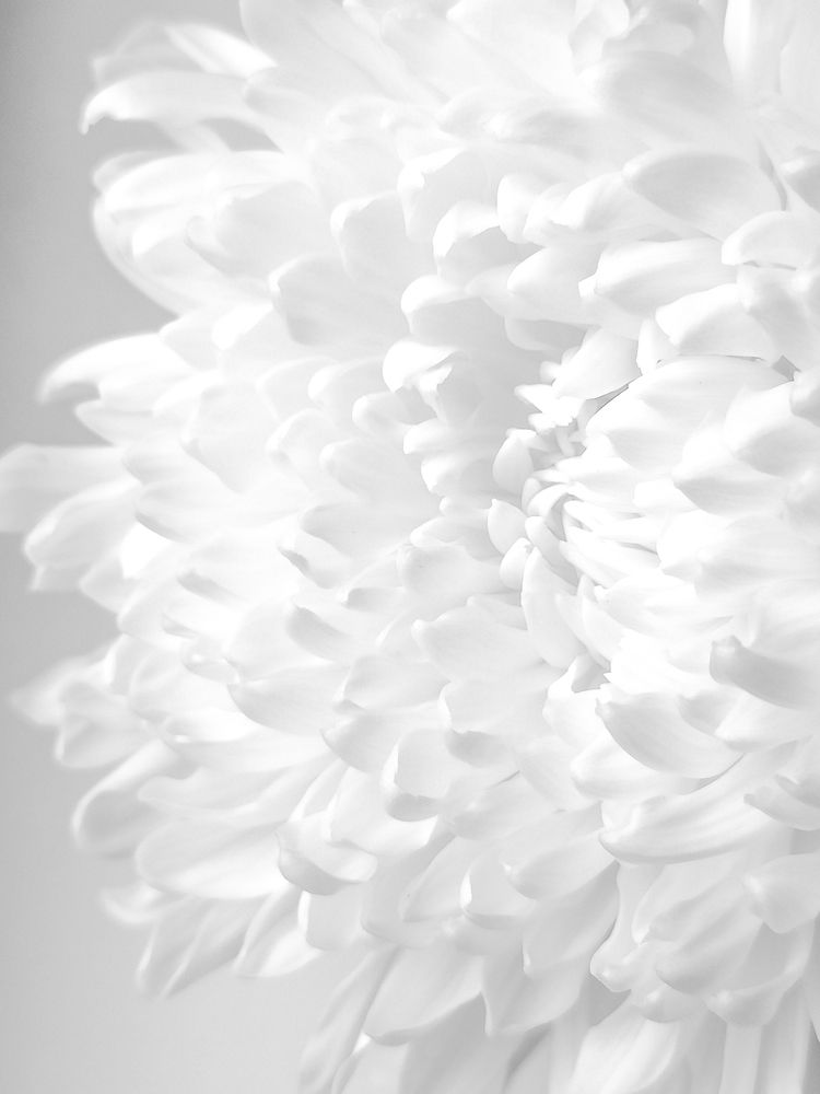 Photograph by Ольга Владимировна