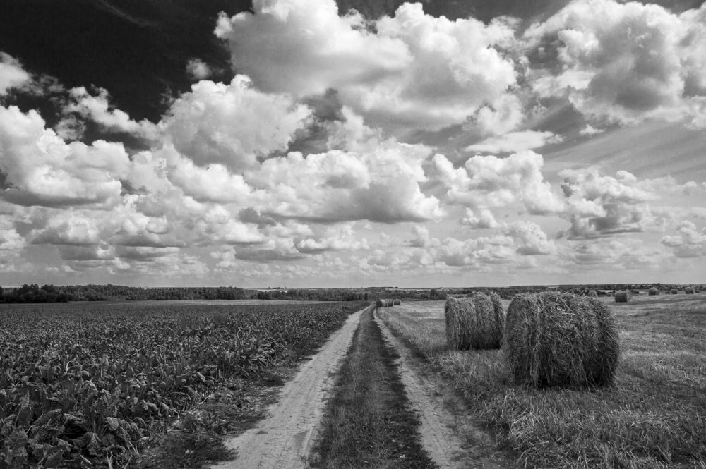 Чёрный цвет - 12