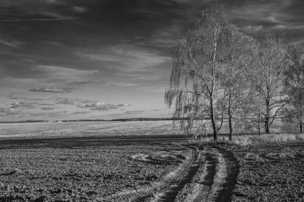 Чёрный цвет - 14