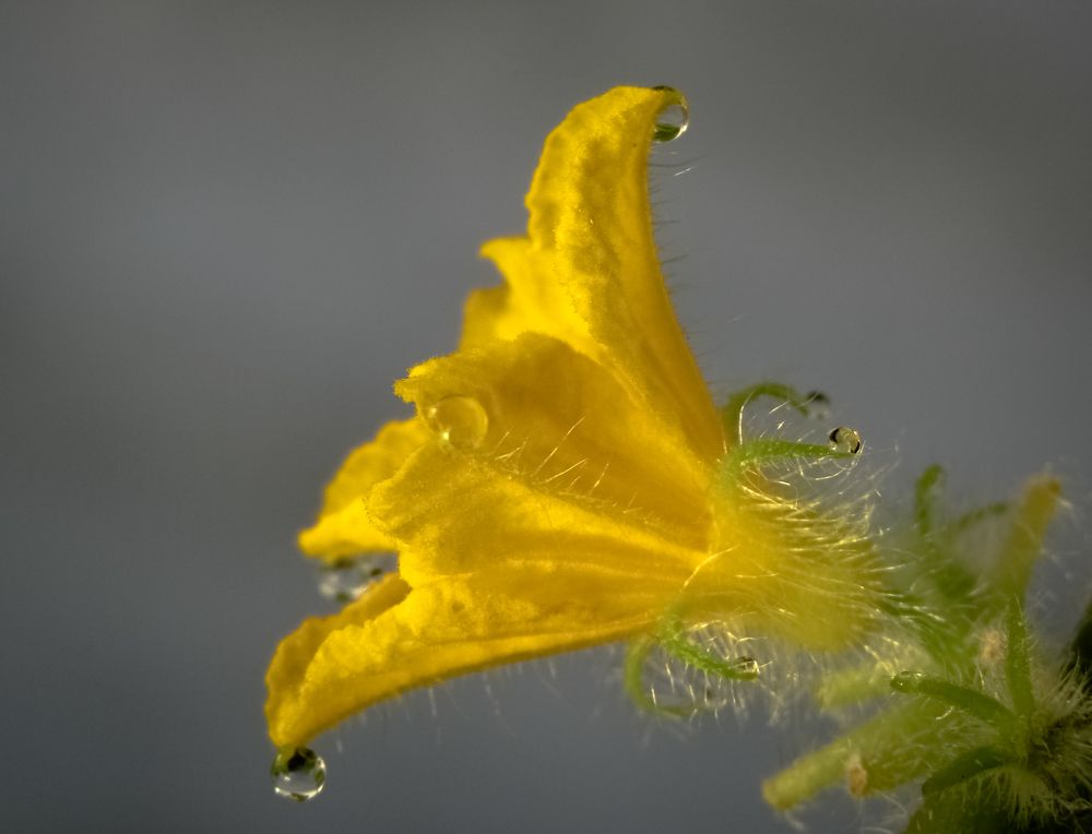 Photograph by Татьяна Романова