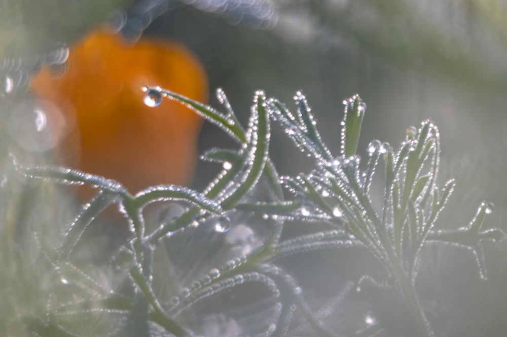 Photograph by Татьяна Романова