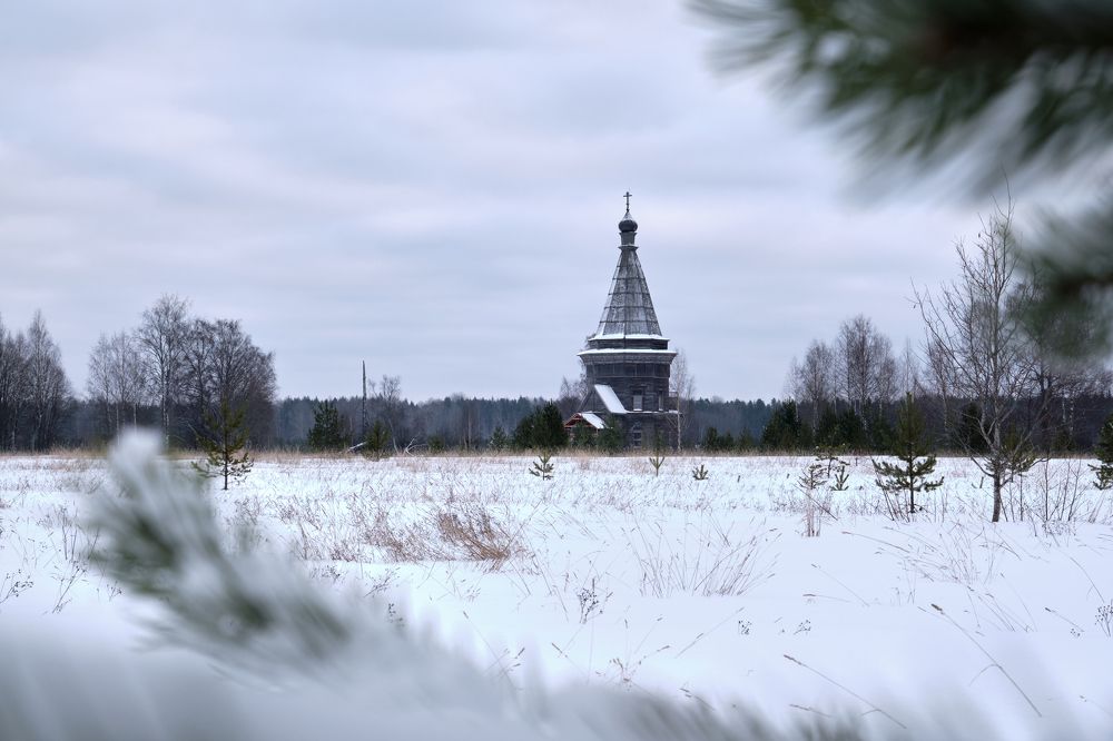 Красная Ляга