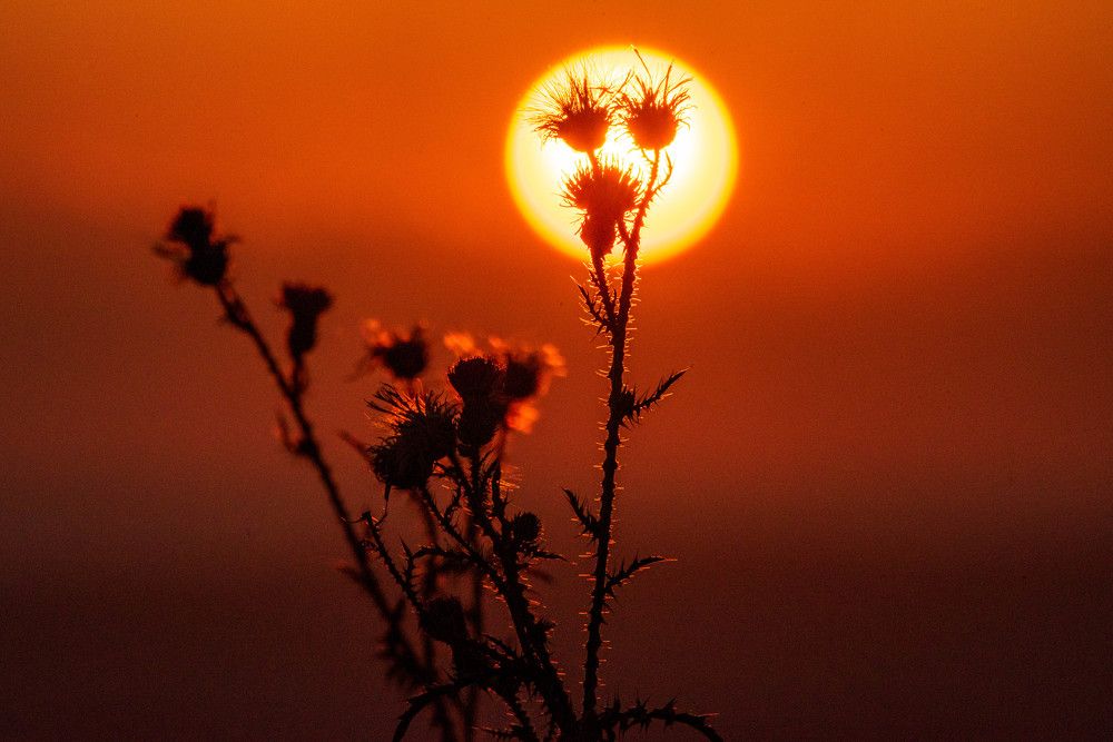 Photograph by levi bagy