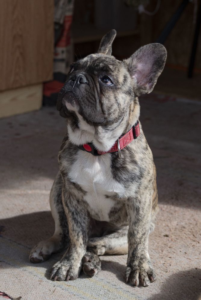 Photograph by Анна Панеева