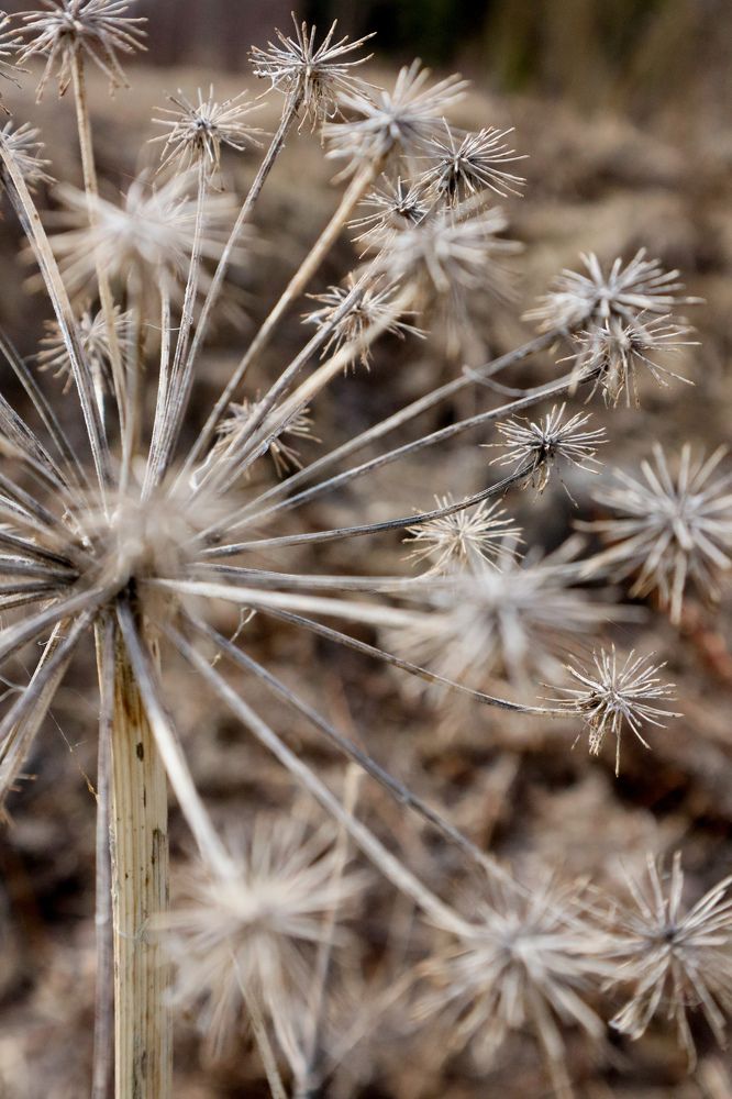 Photograph by Наталья Исаева