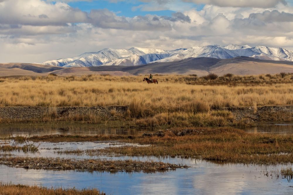 Фотография автора Галина Шепелева