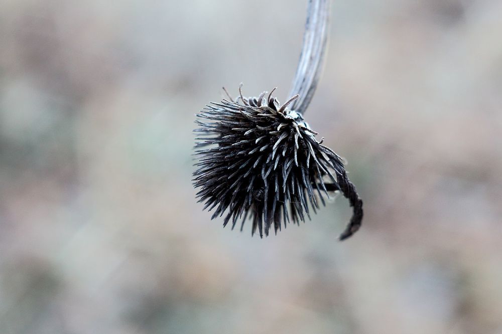 Photograph by Юрий Варюхин