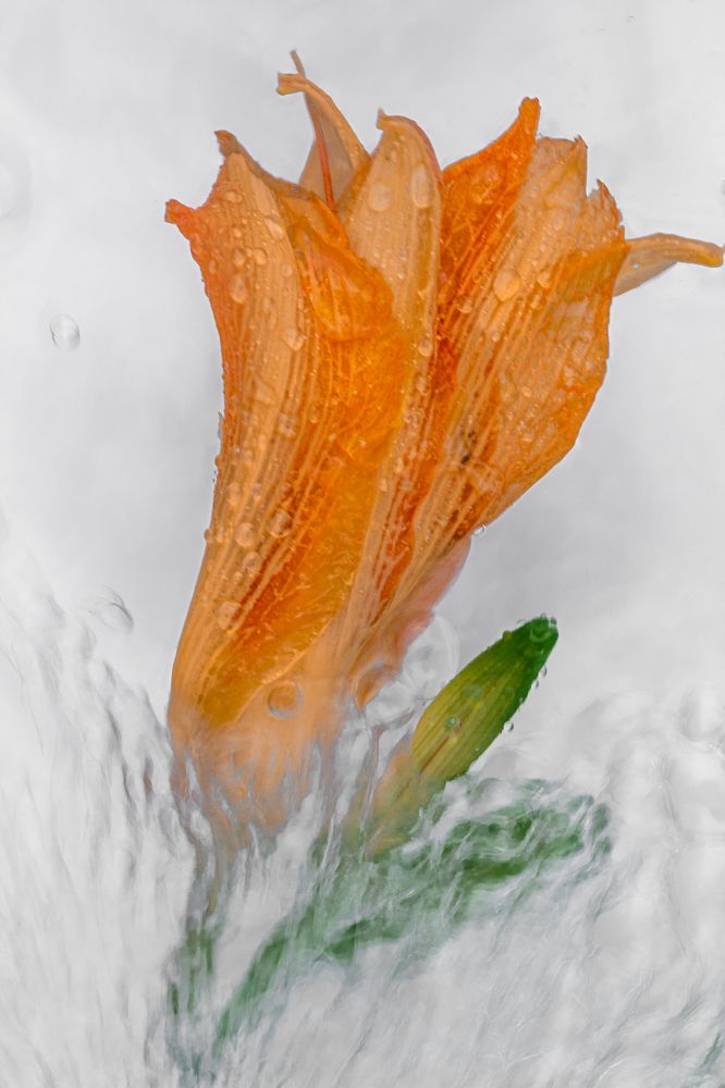 Фотография автора OXANA MARSOVA