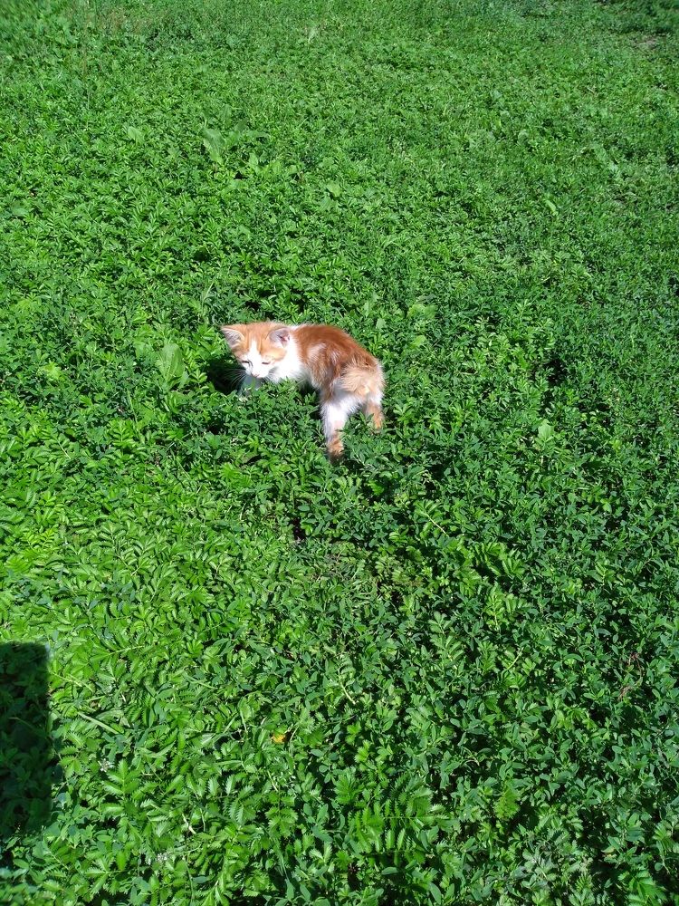 Photograph by СТЕПАН ДЖУЛАКИДЗЕ