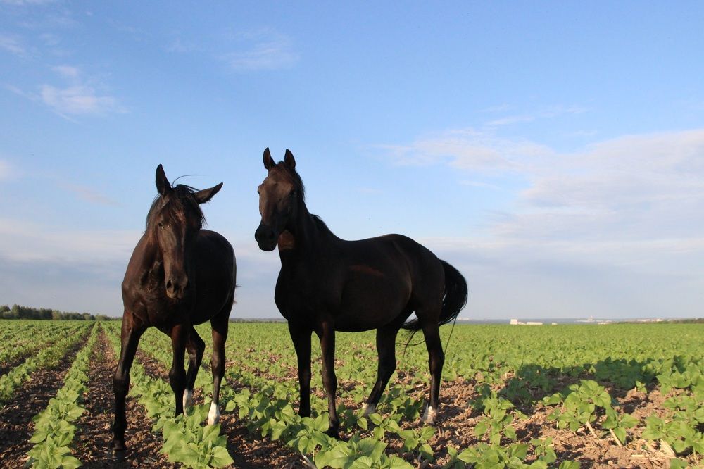 Photograph by Андрей Хитрун
