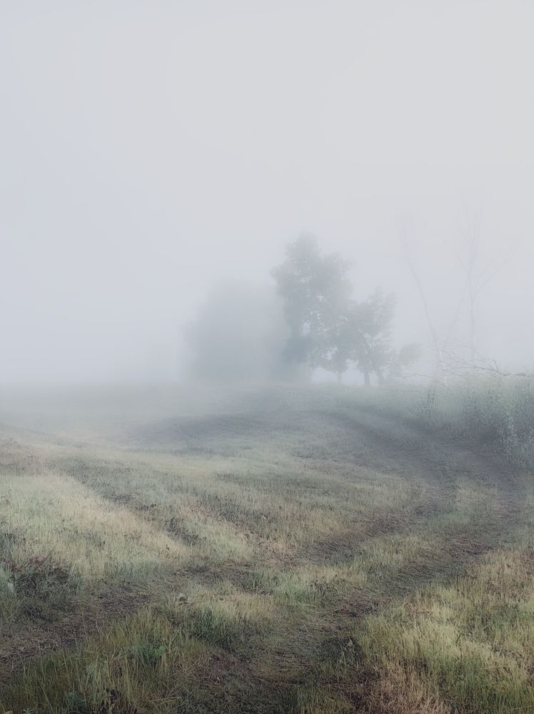 Photograph by Виктор Бикбаев