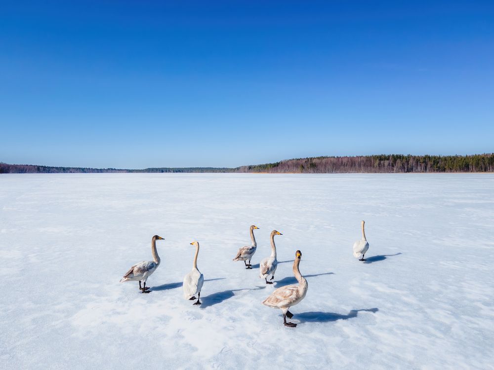 Photograph by Anton Gavrilov