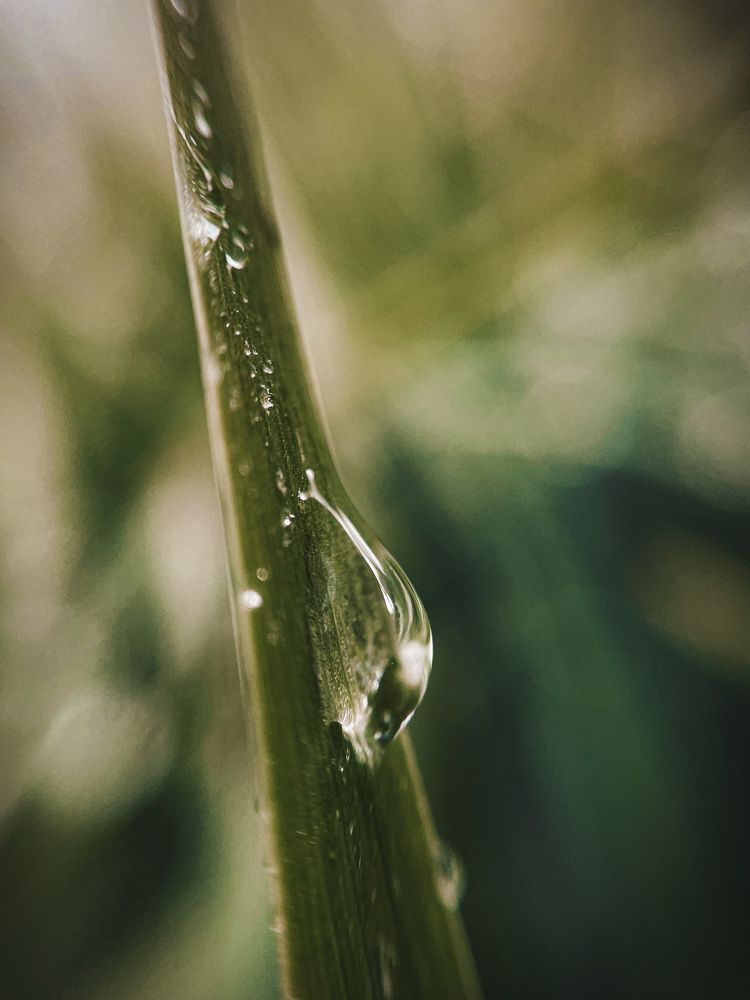 Photograph by Марина Тверитнева