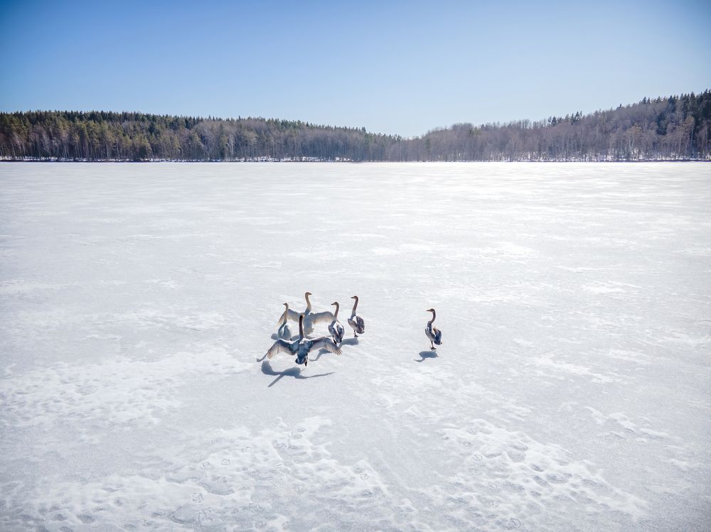 Photograph by Anton Gavrilov