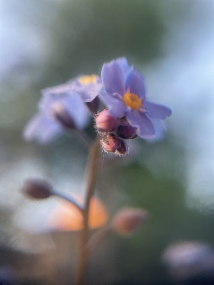 Photograph by Марина Тверитнева