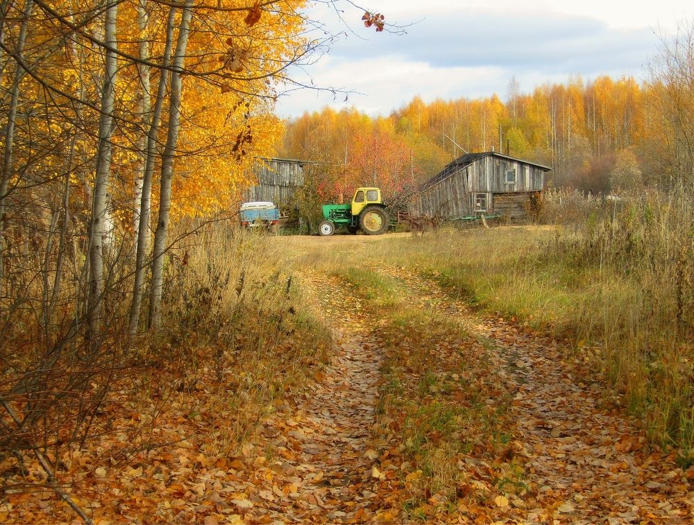 Сельские зарисовки
