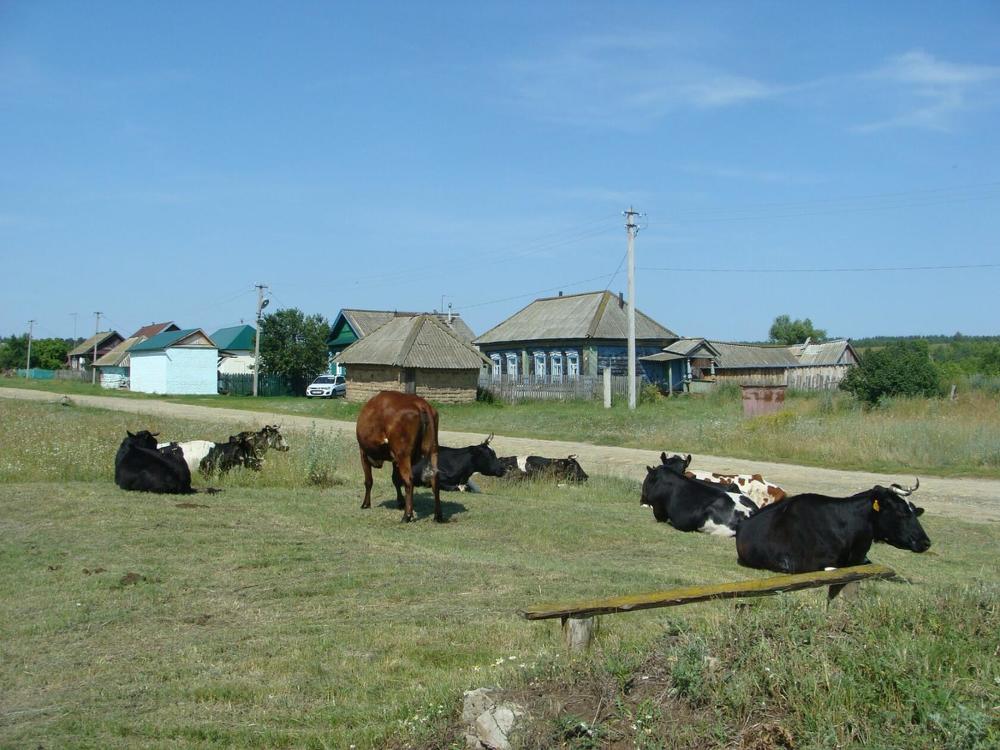 Photograph by Павел Попов