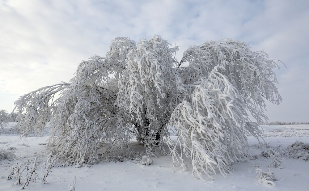 Photograph by Murat Kuzhakhmetov