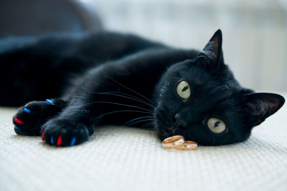 Photograph by Яна Зырянова