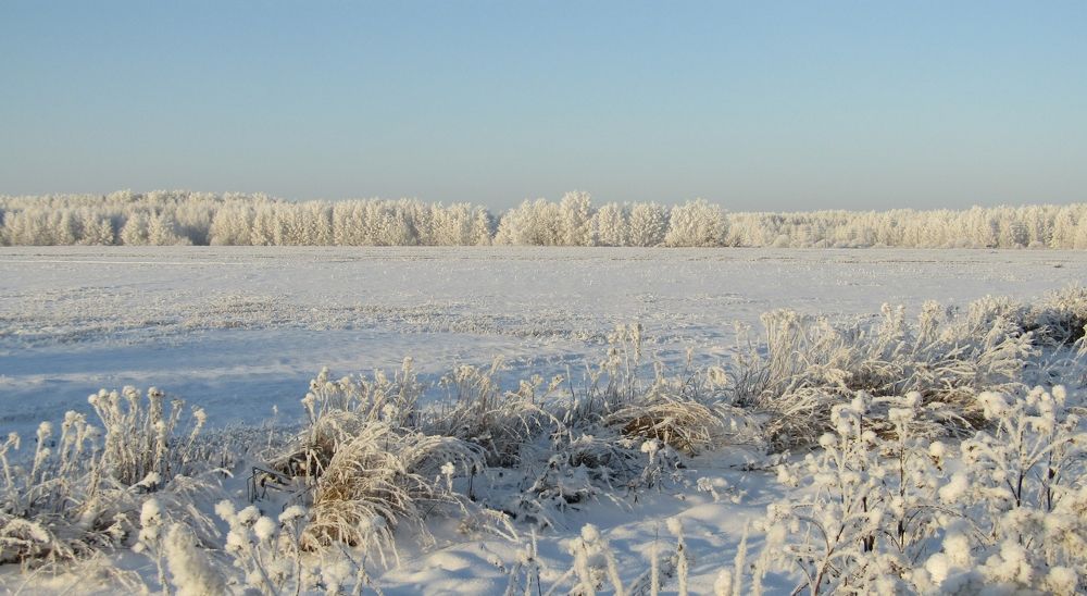 Photograph by Владимир Перминов